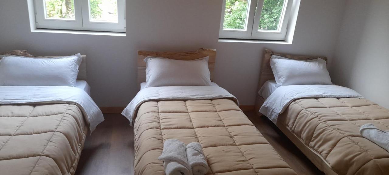 Guesthouse Dritan Tethorja ثيث الغرفة الصورة
