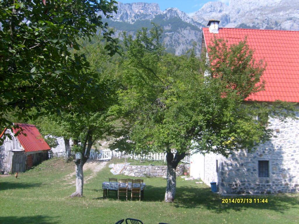 Guesthouse Dritan Tethorja ثيث المظهر الخارجي الصورة