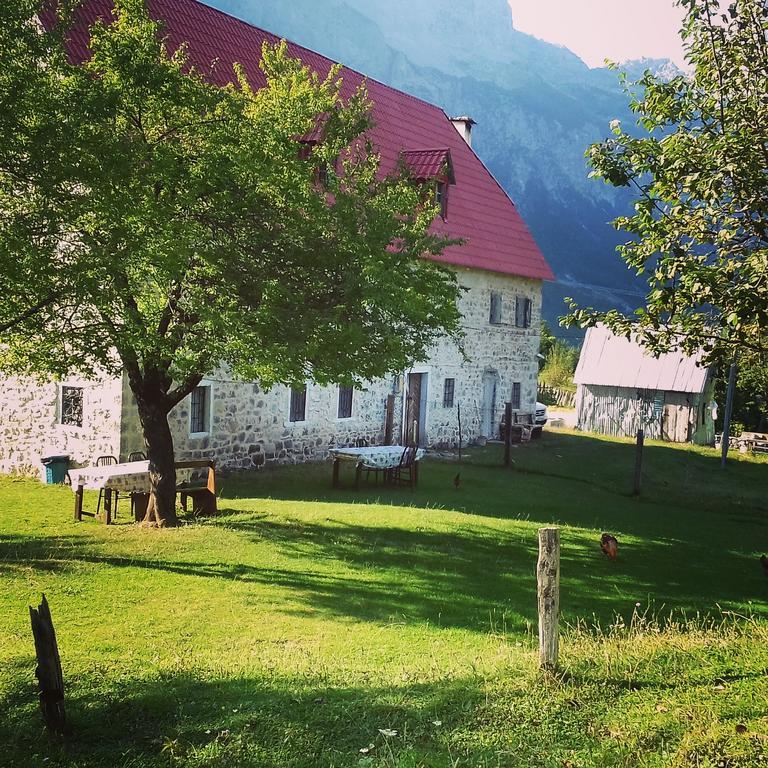 Guesthouse Dritan Tethorja ثيث المظهر الخارجي الصورة